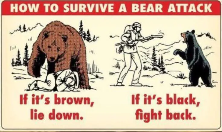 If its Black Fight Back
