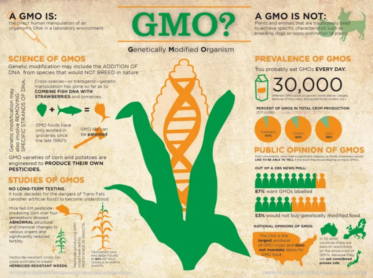 Teknologi rekayasa genetika telah memungkinkan pengembangan organisme hasil rekayasa genetik (GMO) yang memiliki sifat-sifat yang diinginkan, seperti ketahanan terhadap hama atau peningkatan hasil panen.